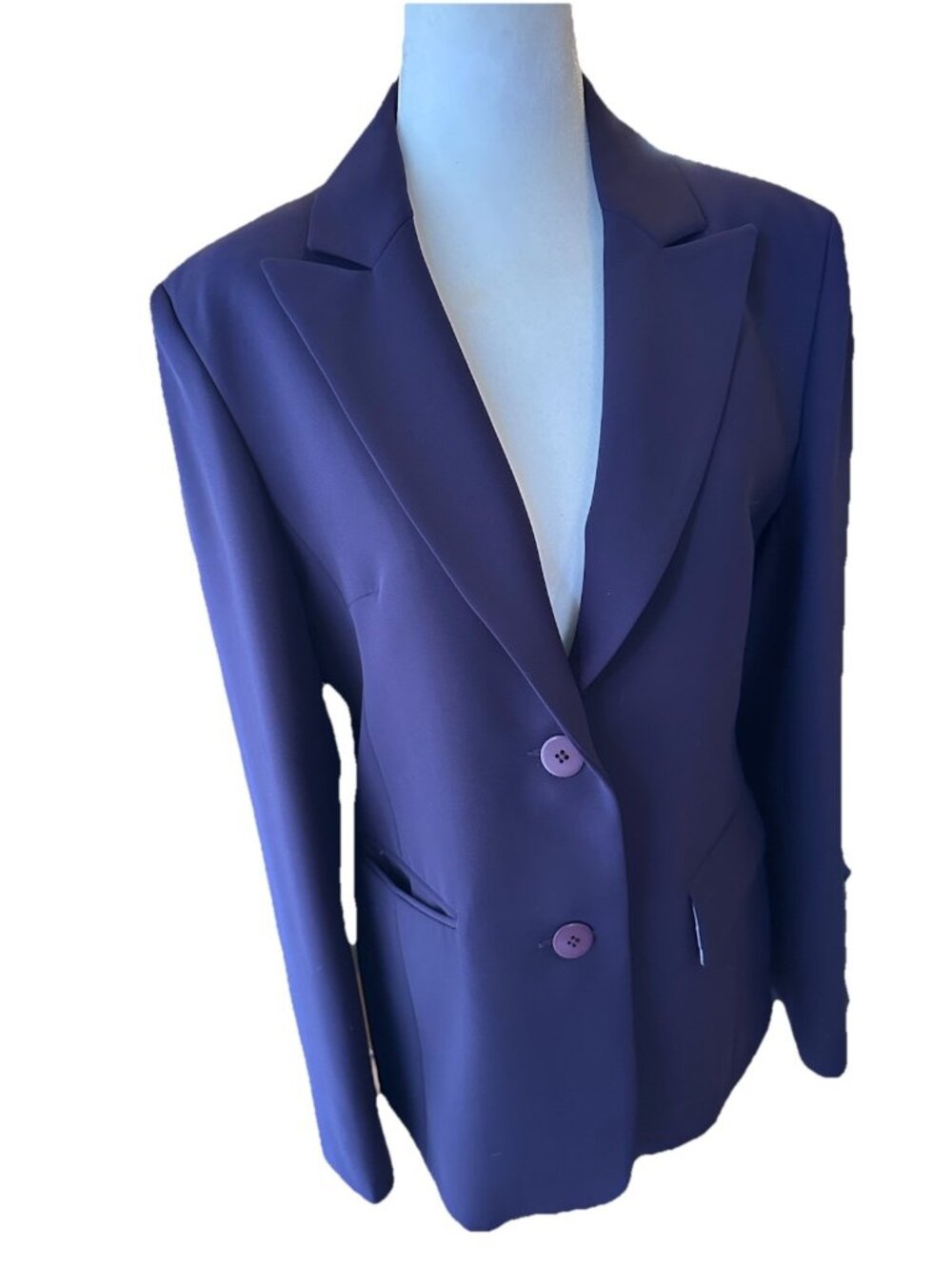 Gerard Purple Plum Blazer Jacket Size 10 Wrinkle Free Stripped Lining